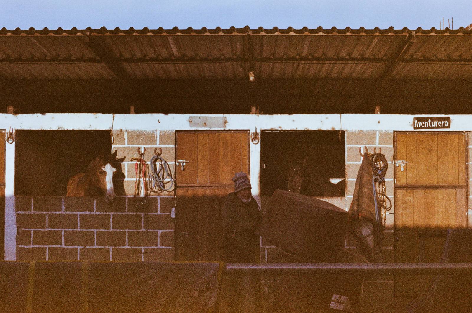 Caballerizas del rancho a la hora dorada, con la puerta Aventurero